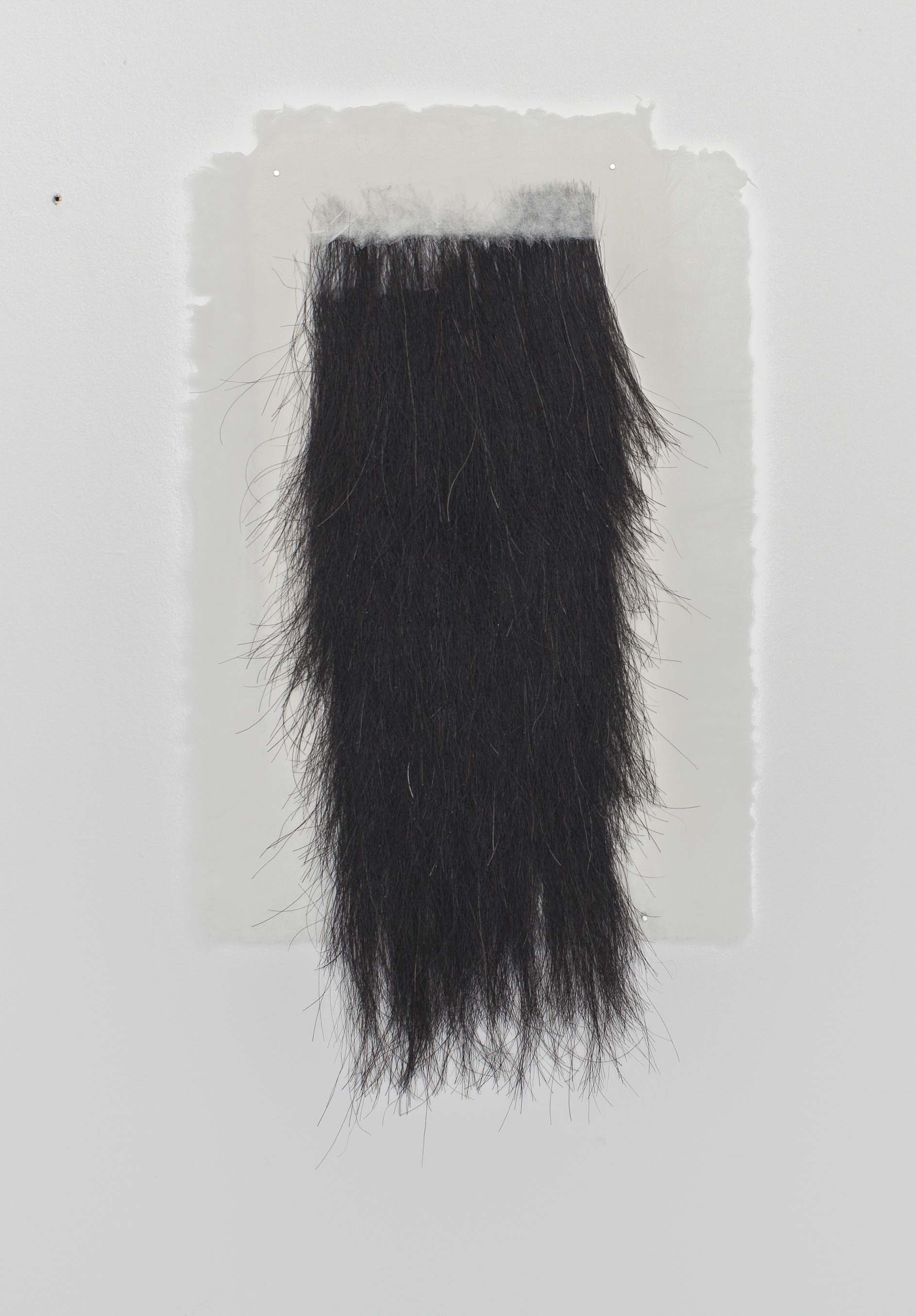 HAIR, Pferdehaar in Papier geschöpft, ca. 50x21cm